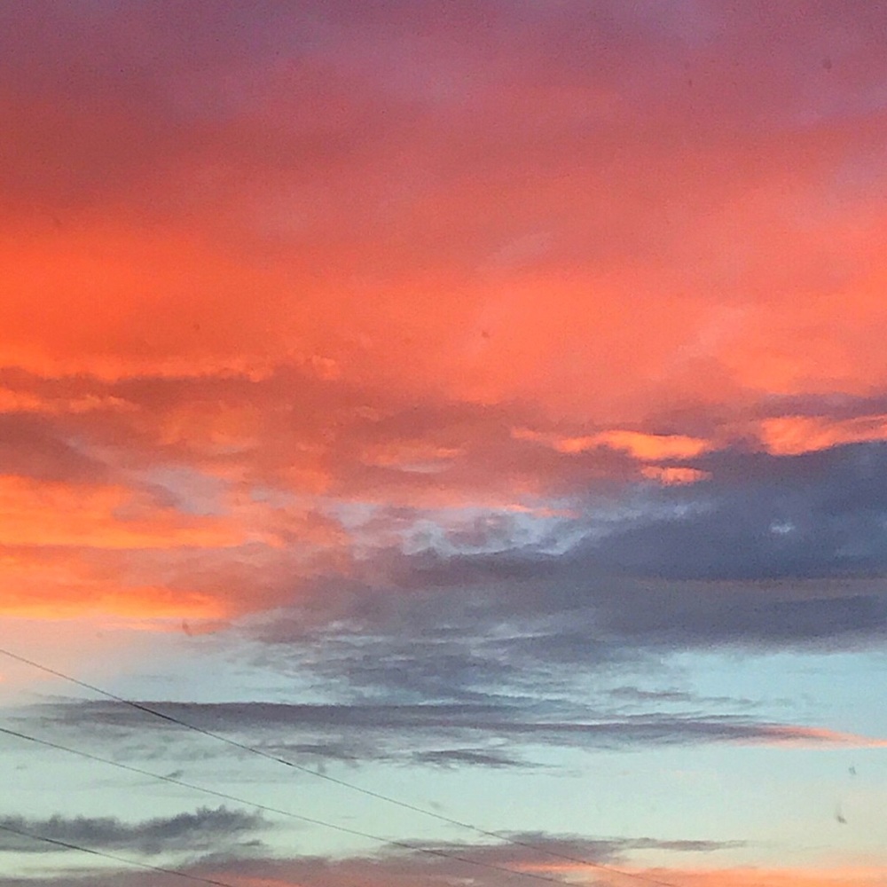 Meet your Posher, Addison